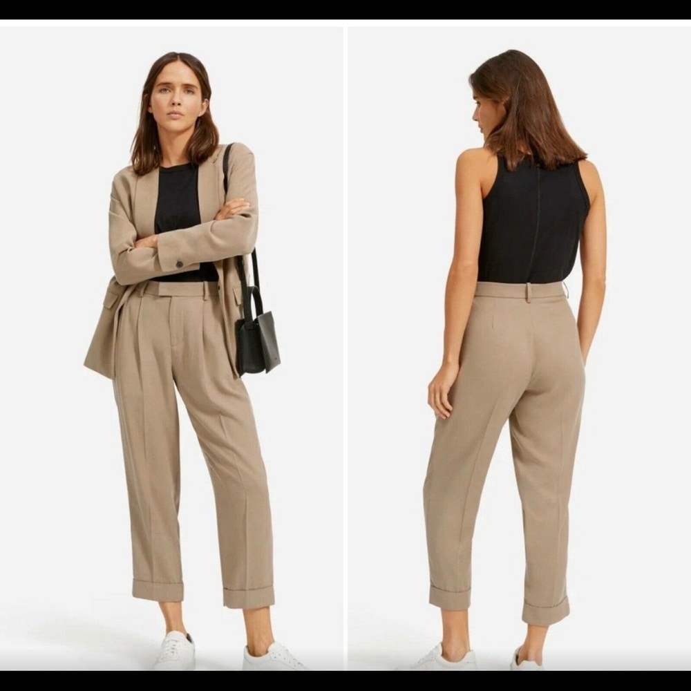 Everlane Put Together Pleat Pants in color clay size 00